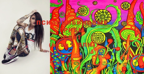 гашик Новокубанск